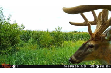 Image of Wildgame Orbit 360 Cellular Camera 36MP, 1410206