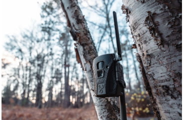 Image of Wildgame Terra XT 2.0 Cellular Camera 24MP, 1410205