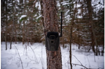 Image of Wildgame Terra XT 2.0 Cellular Camera 24MP, 1410205