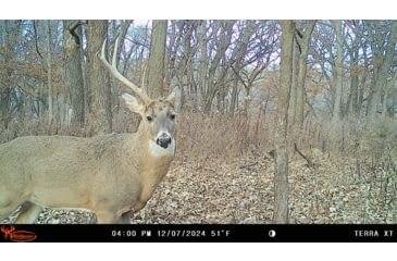 Image of Wildgame Terra XT 2.0 Cellular Camera 24MP, 1410205