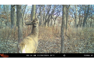 Image of Wildgame Terra XT 2.0 Cellular Camera 24MP, 1410205