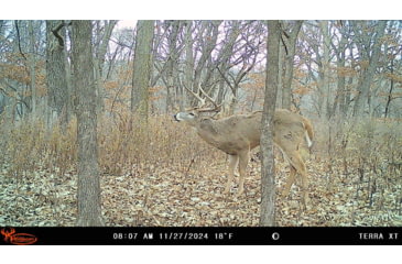 Image of Wildgame Terra XT 2.0 Cellular Camera 24MP, 1410205
