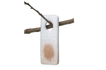 Image of Wildlife Research Center Pro-Wick, Scent Dispensers 4 pk 370