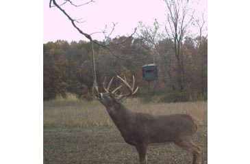 Image of Wildlife Research Center Golden Rope Scent Concentrate, 4fl.oz, 249-4