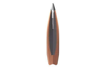Image of Winchester Ammo S300LR Expedition Big Game Long Range 300 Win Mag 190Gr AccuBon, S300LR