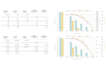 Image of Winchester Ballistic Silvertip .223 Remington 55 grain Fragmenting Polymer Tip Brass Cased Centerfire Rifle Ammo, 20 Rounds, SBST223B