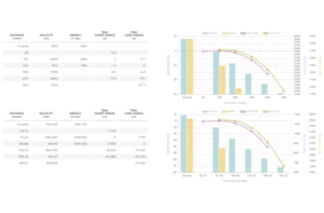 Image of Winchester Ballistic Silvertip .243 Winchester 55 grain Fragmenting Polymer Tip Centerfire Rifle Ammo, 20 Rounds, SBST243