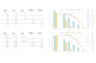 Image of Winchester Ballistic Silvertip .243 Winchester 95 grain Rapid Expansion Polymer Tip Brass Cased Centerfire Rifle Ammo, 20 Rounds, SBST243A
