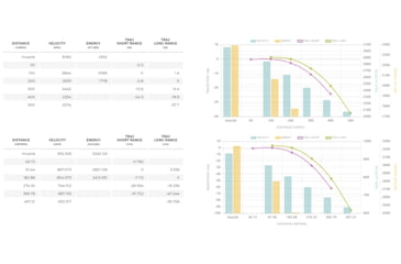 Image of Winchester Ballistic Silvertip .25-06 Remington 115 grain Fragmenting Polymer Tip Brass Cased Centerfire Rifle Ammo, 20 Rounds, SBST2506