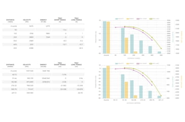 Image of Winchester Ballistic Silvertip .25 Winchester Super Short Magnum 85 grain Fragmenting Polymer Tip Centerfire Rifle Ammo, 20 Rounds, SBST25WSS