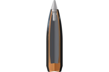 Image of Winchester Ballistic Silvertip .270 Winchester 130 grain Fragmenting Polymer Tip Brass Cased Centerfire Rifle Ammo, 20 Rounds, SBST270