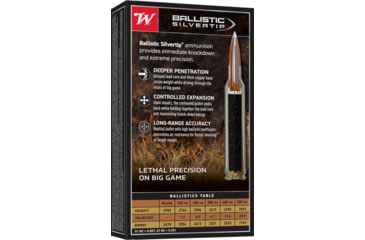 Image of Winchester Ballistic Silvertip .300 Winchester Magnum 180 grain Fragmenting Polymer Tip Brass Cased Centerfire Rifle Ammo, 20 Rounds, SBST300