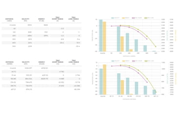 Image of Winchester Ballistic Silvertip .300 WSM 180 Grain Polymer Tip Rifle Ammo, 20 Round, SBST300SA