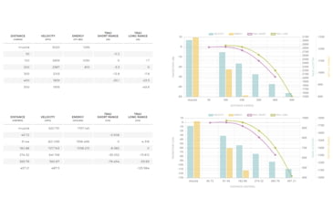 Image of Winchester Deer Season XP .223 Remington 64 grain Extreme Point Polymer Tip Centerfire Rifle Ammo, 20 Rounds, X223DS