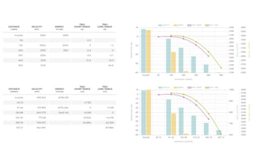 Image of Winchester Deer Season XP .300 Winchester Magnum 150 grain Extreme Point Polymer Tip Centerfire Rifle Ammo, 20 Rounds, X300DS