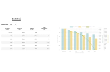 Image of Winchester Ballistic Silvertip 6.8 Western 170 gr. Centerfire Rifle Ammunition, 20 Rounds, S68WLR