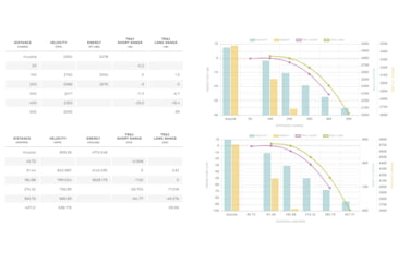 Image of Winchester Supr 300 Win Mag 180 gr AccuBnd CT S300WMCT, S300WMCT