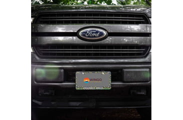 Image of Wingo Outdoors License Plate Frame, Brook Trout, Double Haul, 12 x 7 inches, W-LIC-103-DH