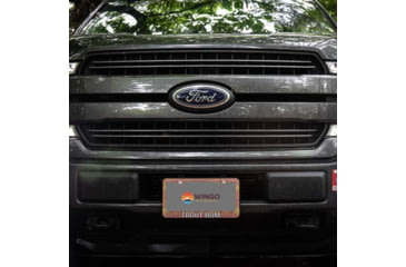 Image of Wingo Outdoors License Plate Frame, Brown Trout, Trout Bum, 12 x 7 inches, W-LIC-104-TB