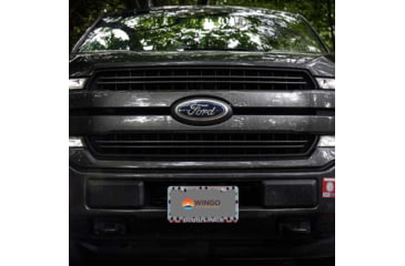 Image of Wingo Outdoors License Plate Frame, Rainbow Trout, Double Haul, 12 x 7 inches, W-LIC-112-DH