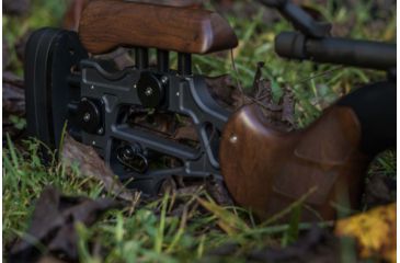 Image of WOOX Furiosa Sauer 100 Chassis, Right Hand, Walnut, SH.CHS001.01