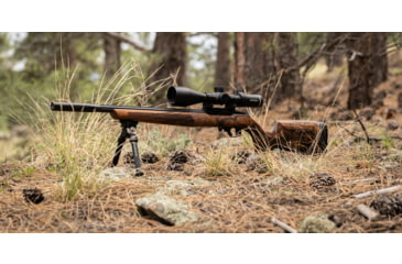 Image of WOOX Elegante Hybrid Precision Ruger American Rifle Gen 2 Wood Rifle Stock w/Integrated Mini-Chassis, Right Hand, Short Action, High Grade Walnut/Brown, SH.GNS075.04