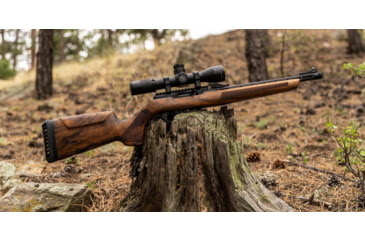 Image of WOOX Elegante Hybrid Precision Ruger American Rifle Gen 2 Wood Rifle Stock w/Integrated Mini-Chassis, Right Hand, Short Action, High Grade Walnut/Brown, SH.GNS075.04