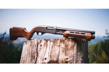 Image of WOOX Gladiatore Collapsible Shotgun Stock &amp; Forend Set