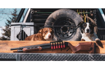 Image of WOOX Gladiatore Collapsible Shotgun Stock &amp; Forend Set