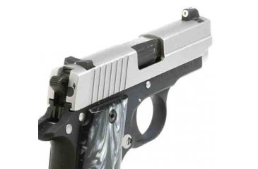 Image of XS Sight Systems DXW Big Dot for Sig P238 SI-0007P-3