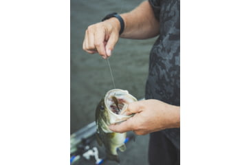 Image of Yamamoto Baits 3in Shad Shape Worm, 10 pack, Green Pumpkin-Black, YAM-68JR-10-297