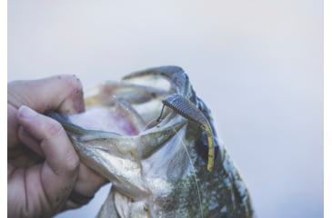 Image of Yamamoto Baits 3in Shad Shape Worm, 10 pack, Green Pumpkin-Black, YAM-68JR-10-297