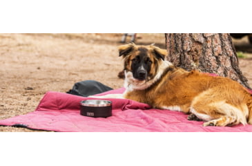 Image of Yeti Boomer 4 Dog Bowl, Black, 21071504136