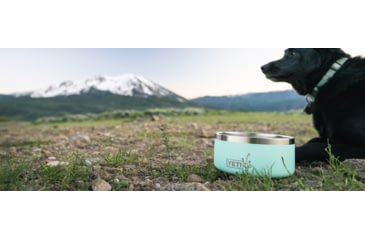 Image of Yeti Boomer 4 Dog Bowl, Seafoam, 21071504588