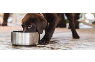 Image of Yeti Boomer 4 Dog Bowl, Stainless Steel, 21071500010