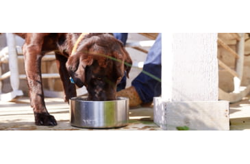 Image of Yeti Boomer 8 Dog Bowl, Stainless, 21071500000