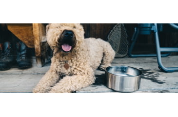 Image of Yeti Boomer 8 Dog Bowl, Stainless, 21071500000