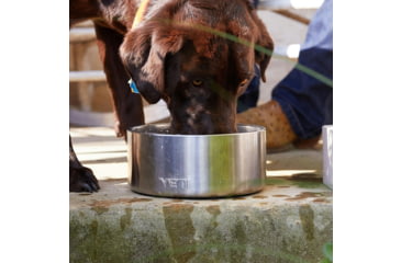 Image of Yeti Boomer 4 Dog Bowl