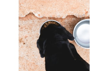 Image of Yeti Boomer 4 Dog Bowl