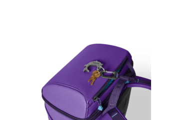 Image of Yeti Daytrip 20L Backpack