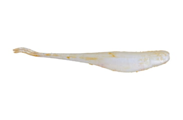 Image of Z-man Scented Jerkbaits Lure, 5 Pack, Gussy'S Glimmer Blue, 3.5in, SJS35-27PK5