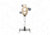Infinite Defense STUSA - Triple Threat Torso &amp; Signature Stand 351162F2, TTTSS-375