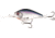 Rapala Cliff Banger Crankbait 11/16oz, 12ft, Gizzard of Oz, 3in, CB12-9