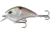 Rapala Flatty Daddy Flat Sided Crankbait 2.5in, 1/2oz, Casper Shad, 2.5in, FD65-6-24