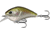 Rapala Flatty Daddy Flat Sided Crankbait 2.5in, 1/2oz, Epic Shad, 2.5in, FD65-6-4