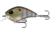 Rapala Flatty Daddy Flat Sided Crankbait 2.5in, 1/2oz, Rusty Bream, 2.5in, FD65-6-1