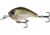 Rapala Jabber Jaw Hybrid Squarebill 1/2oz, 3-5ft, Lucky Charm, 2.3in, JJC60-23