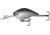 Rapala Jabber Jaw Hybrid Squarebill 1/2oz, 3-5ft, Natty Light, 2.3in, JJC60-14