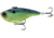 Rapala Magic Man Lipless Crankbait, 3/4oz, Single Pitch, Chicken of the Sea, 3in, E-PVSP34-31