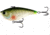 Rapala Magic Man Lipless Crankbait, 3/4oz, Single Pitch, Dream Gill, 2.95in, E-PVSP34-GL